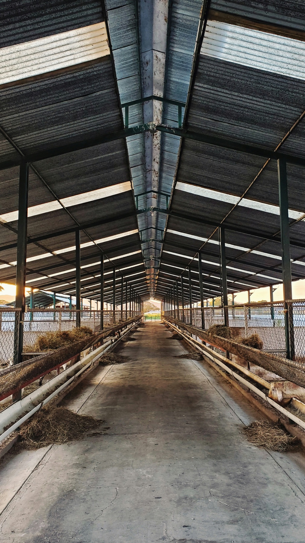 Agricultural Steel Building Solution
